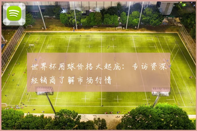 世界杯用球价格大起底：专访资深经销商了解市场行情