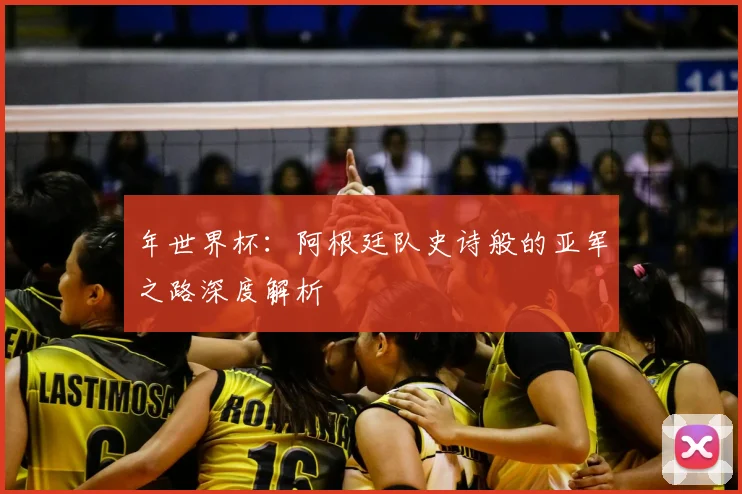 年世界杯：阿根廷队史诗般的亚军之路深度解析