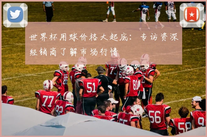 世界杯用球价格大起底:专访资深经销商了解市场行情