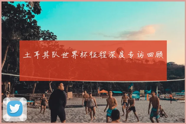 土耳其队世界杯征程深度专访回顾