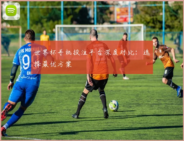世界杯手机投注平台深度对比：选择最优方案