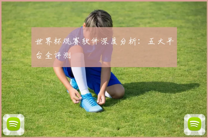 世界杯观赛软件深度分析：五大平台全评测