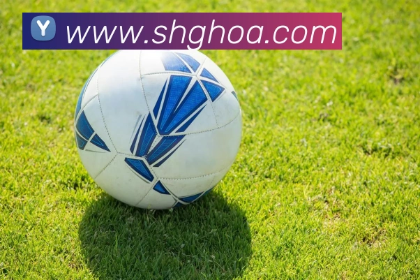 九游在线官网j9APP 体育赛事宣传图